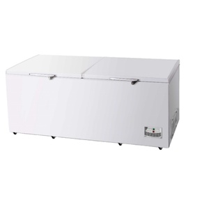 Refrigerador comercial de 2 puertas, congelador grande sin escarcha, 980L, China - Product Image 1