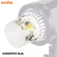 Accessoires de studio photo extérieur Godox AD600PRO, tube de flash 600W, ampoule nue, boîte en ABS pour la photographie AD600Pro