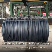 Bobine de fil d'acier laminé à chaud en gros, faible teneur en carbone, 5,5 mm-34 mm, 1 m-3 m par bobine pour fabricants de clous et de grillages