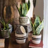 Pot de cactus mat de style nordique, 1 pièce, en béton, pour décoration de maison, pour fleur d'extérieur