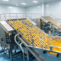 ENAK High Accuracy Automatische Productielijn voor Ingeblikt Fruit, Groenten, Druiven, Gele Perziken en Aardbeien