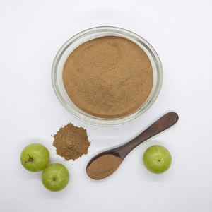 Proveedor a Granel de Polvo de Fruta de Amla Herbal con Beneficios Acondicionadores y Suavizantes para la Reparación del Cabello, de la India - Product Image 1