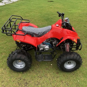 <span class=keywords><strong>Quad</strong></span> chinois 125cc pour adultes, fabriqué en Chine - Product Image 1
