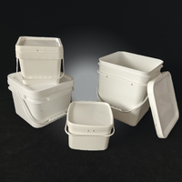 Seau en plastique transparent carré personnalisé de 2 L, 5 L, 20 L avec couvercle et poignée, conteneur alimentaire en plastique, emballage pour barbe à papa