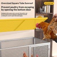 Vente en gros de cages à poulets classiques de luxe en fer massif à motifs, pour usage domestique, élevage, poulaillers, nids, boîtes pour canards, oies, poulets, pigeons
