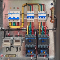 Armoire Électrique Triphasée avec Minuteur et Démarreur pour Moteur Double, Verrouillable, pour Station de Lavage de Fruits de Mer et Légumes, Direct Usine