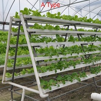 Système Hydroponique NFT Agricole Conteneur Canal PVC pour Culture