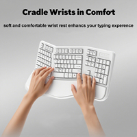 Clavier ergonomique sans fil à vente chaude avec repose-poignets, clavier ergonomique silencieux rechargeable pleine taille pour la maison et le bureau