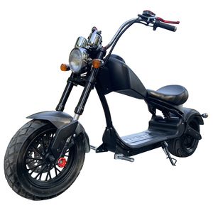 Scooter de l'entrepôt européen - Moto électrique/diesel 2 roues haute puissance Eco 1500W 60V 12AH 20AH - Product Image 1