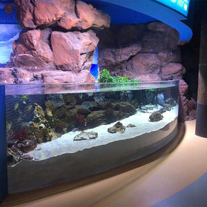 Pecera Acrílica Semicircular Curva, Resistente a la Intemperie, Fácil de Instalar <span class=keywords><strong>en</strong></span> <span class=keywords><strong>el</strong></span> Suelo, Hecha a Medida - Product Image 2