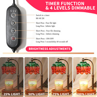 Lampe chauffe-cire électrique à la fraise avec minuterie et variateur d'intensité, prise AC, décoration d'intérieur, cadeau d'anniversaire et de pendaison de crémaillère pour femme et maman