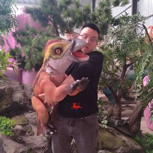 Pequeño Animatronic Dinosaurios Marioneta de Mano Raptor Baby <span class=keywords><strong>Dino</strong></span> - Product Image 2