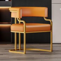 Chaises de salle à manger de luxe Offre Spéciale légères chaises de maquillage pour la maison réception d'hôtel bureaux de vente négociation pour canapés dossiers de salon de manucure