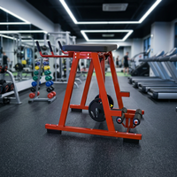 Équipement de fitness pour salle de sport : Banc de musculation pour hyper-extension inversée, Machine à flexions dorsales et à extension des jambes allongées