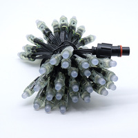 Luces LED de Cadena de Píxeles RGB Programables WS2811 de 12 mm, Píxeles LED Direccionables en Oferta