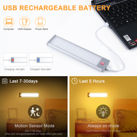 EGH Moderne 3W Type-C Bande LED de Charge Lumière d'Armoire Détecteur de Mouvement 800mAh Télécommande d'Escalier pour Application de Placard