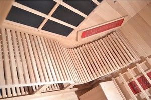Traditionelle Schwarz-Rot-Lichttherapie Eisbad-Spa Kompressionstherapie 2-Personen Outdoor-Infrarotsauna - Product Image 2