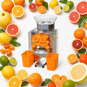 Machine à jus de <span class=keywords><strong>satsuma</strong></span> à alimentation automatique, machine à jus d'orange sanguine et d'agrumes pour hôtels, cafés, supermarchés, usage commercial - Product Image 6