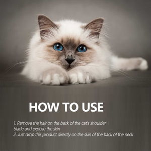 Répulsif contre les puces et les tiques pour chats, formule en points, avec des huiles essentielles naturelles pour une protection longue durée et une défense quotidienne contre les parasites - Product Image 2