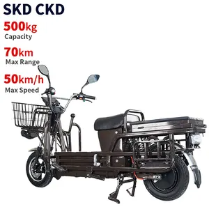 500Kg Capaciteit 40-50 Km/h Snelheid 50-70Km Bereik 2 Wiel Lading Levering Elektrische Scooter Fiets
