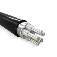 Cable Eléctrico Subterráneo de Baja Tensión de 5 Núcleos con Aislamiento XLPE de 3x10mm-3x16mm2 con Conductor de Cobre Puro, Certificado CE y CCC