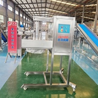 Machine à fabriquer des chips de banane DY, prix d'usine, vente chaude, 100/150/260/300 kg/h, machines à fabriquer des chips de banane