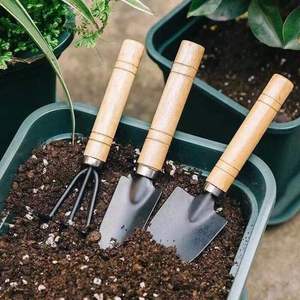 Ensemble d'outils de jardinage, 3 pièces, manche en bois, durable, pour la plantation et le desserrage du sol dans le jardin domestique - Product Image 2