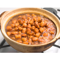 Foul Medames Salé en Conserve, Haricots de Fava Égyptiens avec Tahini, Prêts à Consommer