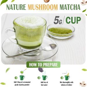 OEM/ODM Café Instantáneo Orgánico en Polvo con Matcha y Champiñones, Mezcla de Melena de León y Chaga para Apoyo a la Memoria y el Sueño en Adultos - Product Image 5