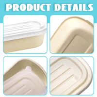Sélection à chaud mondiale Boîte à lunch européenne personnalisée pour poitrine de poulet et salade Boîte à bagasse de canne à sucre jetable multi-taille