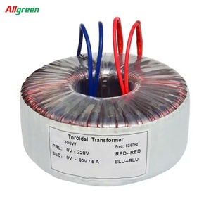 Transformateur toroïdal Allgreen pour amplificateurs audio 50W 100W 150W 200W 300W 500W Transformateur toroïdal - Product Image 1