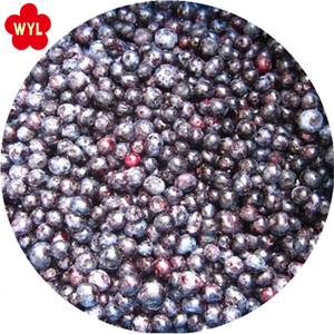 Fournisseur en gros de groseilles noires <span class=keywords><strong>surgelées</strong></span> IQF, baies <span class=keywords><strong>surgelées</strong></span> individuellement pour jus, confiture, pâtisserie - Product Image 1