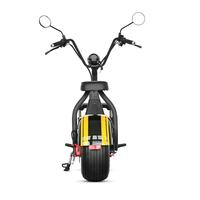 Scooter électrique 1000W pour trajets quotidiens avec haut-parleur Bluetooth, batterie lithium 20AH, pneus larges, Citycoco