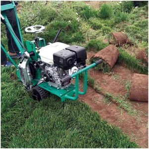 Equipement de pelouse Coupeur de gazon Tondeuse <span class=keywords><strong>à</strong></span> gazon <span class=keywords><strong>à</strong></span> essence - Product Image 3