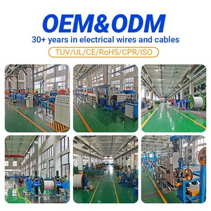 <span class=keywords><strong>Cable</strong></span> Eléctrico THHN/THWN-2 de Cobre Trenzado con Recubrimiento de Nailon, <span class=keywords><strong>Calibre</strong></span> 14, 12, <span class=keywords><strong>10</strong></span>, 8 AWG, <span class=keywords><strong>Cable</strong></span> <span class=keywords><strong>para</strong></span> Construcción de 600V <span class=keywords><strong>para</strong></span> la Industria - Product Image 6