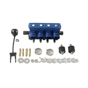 Autogas autogaz products OMVL style CNG/LPG Rail Injector for conversion kit