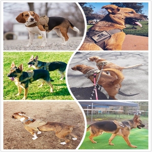 Suministro de fábrica, Correa táctica <span class=keywords><strong>para</strong></span> el pecho <span class=keywords><strong>para</strong></span> mascotas, arnés <span class=keywords><strong>para</strong></span> el pecho <span class=keywords><strong>para</strong></span> perros, <span class=keywords><strong>chaleco</strong></span> de caza <span class=keywords><strong>para</strong></span> perros al por mayor <span class=keywords><strong>para</strong></span> <span class=keywords><strong>Pastor</strong></span> Alemán. - Product Image 3