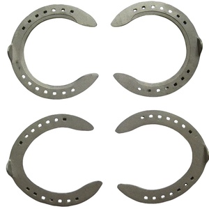 Fornitore all'ingrosso a buon mercato ferri <span class=keywords><strong>di</strong></span> cavallo scarpe <span class=keywords><strong>di</strong></span> cavallo cavallo cavallo strumento <span class=keywords><strong>di</strong></span> cavallo Kit per palme a <span class=keywords><strong>ferro</strong></span> <span class=keywords><strong>di</strong></span> cavallo in lega <span class=keywords><strong>di</strong></span> <span class=keywords><strong>ferro</strong></span> - Product Image 5