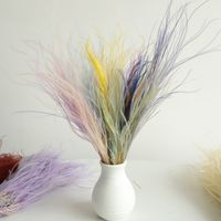 PPL41 Long Stipa Konserviertes Stein gras Großhandel Hochzeits dekoration Blumen material Dekorative Gegenstände Konservierte Blume