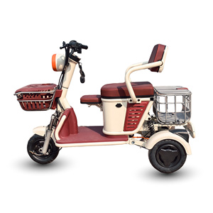 Tricycle électrique Holladay 600W à carrosserie ouverte, scooter de mobilité 2 <span class=keywords><strong>places</strong></span>, vélo électrique à 3 roues pour adultes et personnes âgées, utilisation en extérieur - Product Image 2