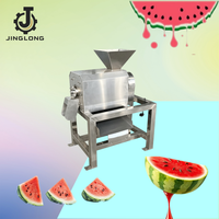 Industriële mango-ontpitter en -pulper / fruitpulper / machine voor het maken van mangopulp