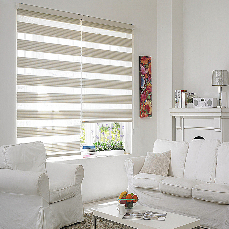 Modern Smart House Automatic Window Blinds