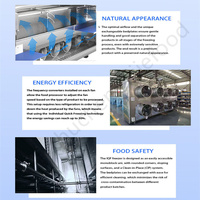 Industriële Groenten Fruit Bereid Voedsel Frieten Chips Berry Mango Blackberry Iqf Wervelbed Bed Bevriezing Machine