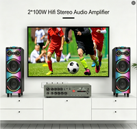 Module d'amplificateur audio karaoké HL-A1010 28V avec TWS, double microphone, contrôle de l'écho, des aigus et des basses, stéréo HiFi