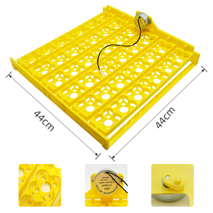 ถาดใส่ไข่ไก่สำหรับ<span class=keywords><strong>ฟัก</strong></span>ไข่ 36 ฟอง แบบมัลติฟังก์ชั่น ขายดีอันดับต้นๆ - Product Image 2