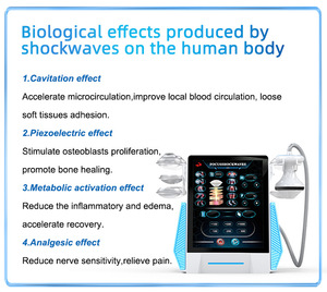 Dispositivo Avanzado de Alivio del Dolor por Ondas de Choque Enfocadas para Clínicas y <span class=keywords><strong>Fisioterapeutas</strong></span>, Analizador de Piel para Recuperación - Product Image 5