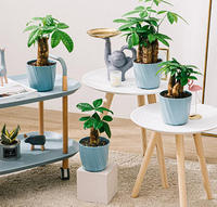 Divers pots de fleurs pour plantes d'intérieur, de jardin et d'extérieur