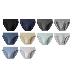 Maillot de bain slip personnalisé pour homme – Service OEM – Respirant – Spandex/Nylon – Imperméable – Maternité – Grandes tailles – Plusieurs tailles et couleurs - Product Image 1