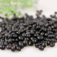 Nouvelle récolte de haricots noirs secs d'origine chinoise avec noyau vert, soja noir pour l'exportation