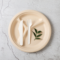 Assiettes rondes 100% compostables personnalisées de 9 à 10 pouces Assiettes en papier de canne à sucre 3 compartiments écologiques jetables pour le camping